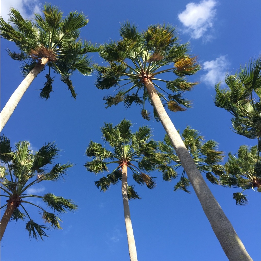 Meet your Posher, Jared